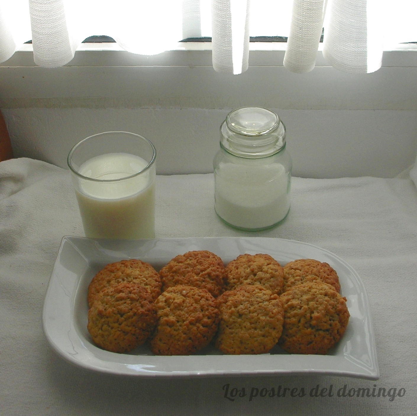 galletas de avena con semillas