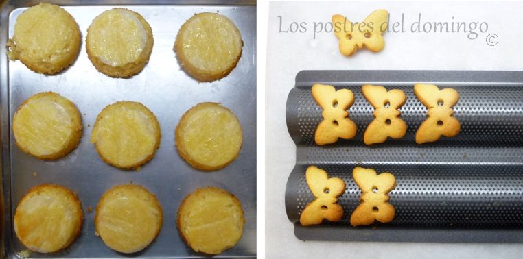 pasteles de requesón y limón_galletas