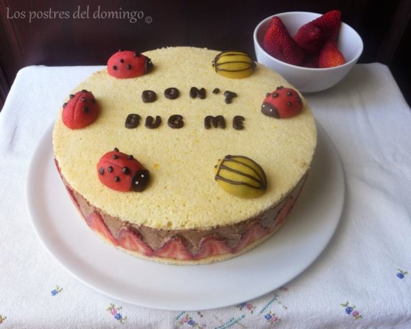 Fraisier de chocolate