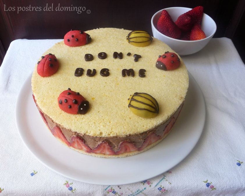 Fraisier de chocolate