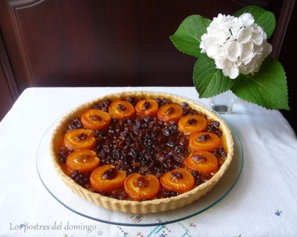 tarta de albaricoque y pasas