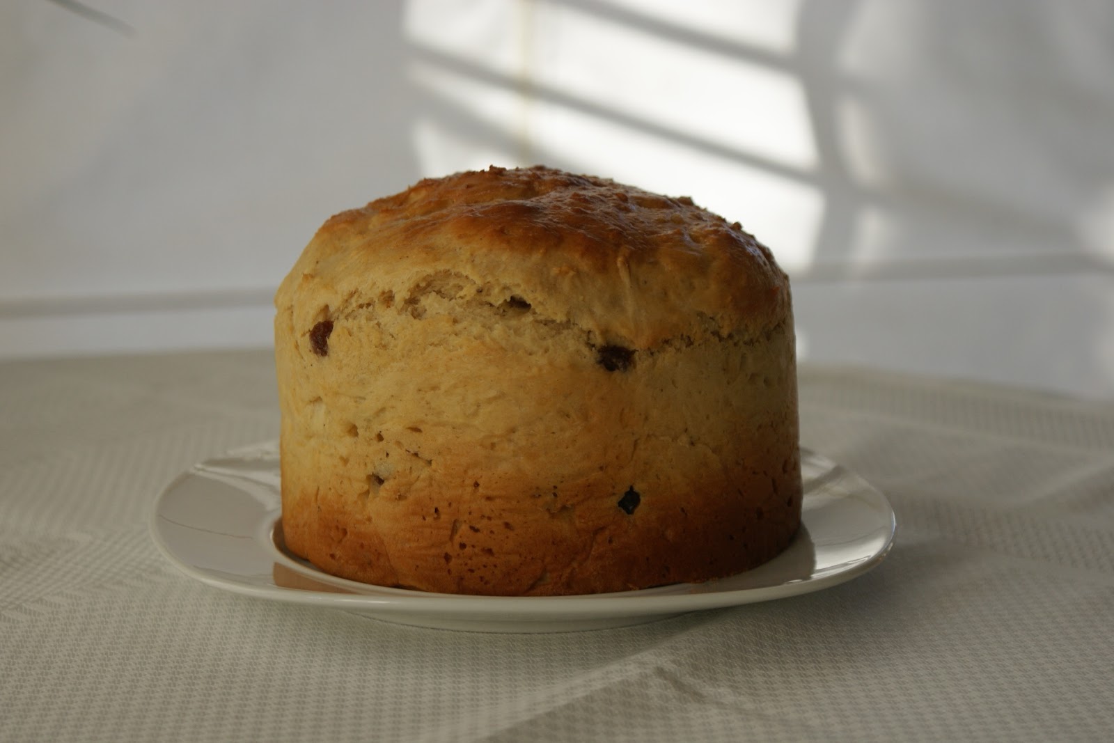 Panettone