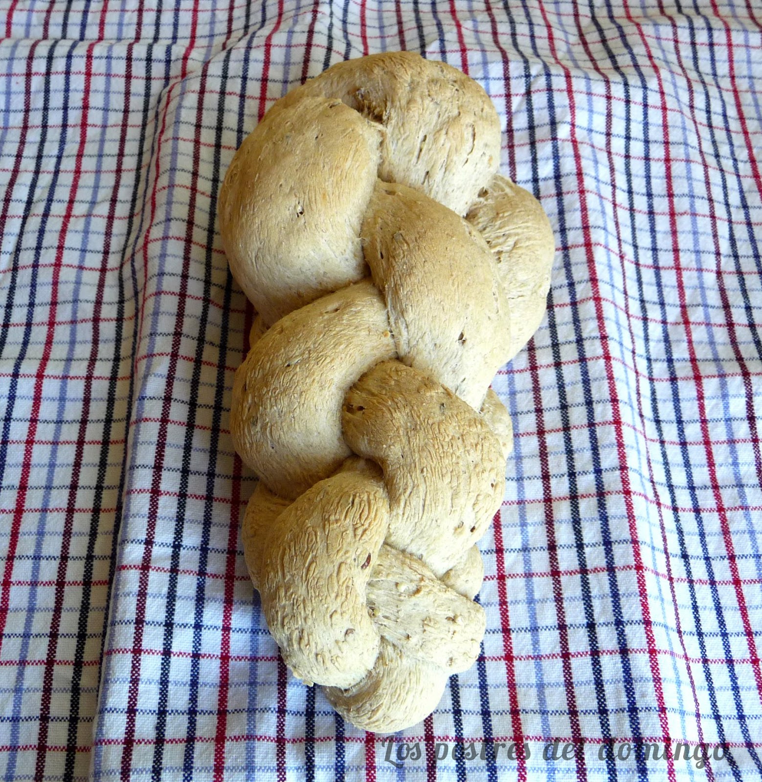 Trenza suiza de pan integral